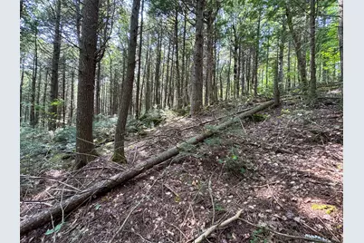 P/O M29L23 Bluff Road, Enfield, ME 04493 - Photo 29