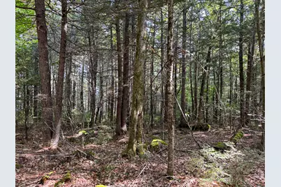 P/O M29L23 Bluff Road, Enfield, ME 04493 - Photo 13