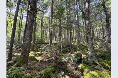 P/O M29L23 Bluff Road, Enfield, ME 04493 - Photo 21