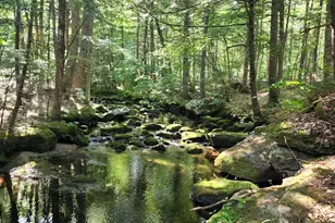 177 Sweden Rd, Waterford, ME 04088 - Photo 45