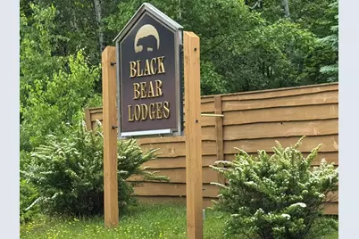 5011 Black Bear Run #5011, Carrabassett Valley, ME 04947 - Photo 3