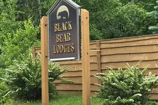 5011 Black Bear Run, Carrabassett Valley, ME 04947 - Photo 3