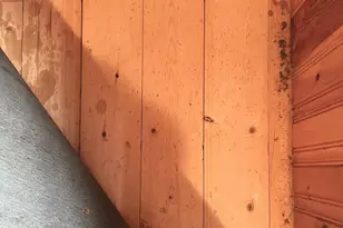 24 Chickadee Way, Norway, ME 04268 - Photo 63