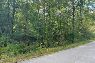 M5 Lot 13 Bradford Road/Ridge Rd, Charleston, ME 04422 - Photo 1