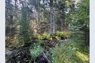 0 Main Road, Phippsburg, ME 04565 - Photo 23