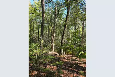 00 Back Searsport Road, Belfast, ME 04915 - Photo 3