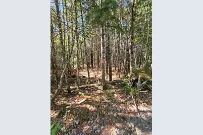M 3, L 9 Off Eastern Ridge Road, Northfield, ME 04654 - Photo 9