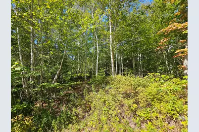 M 3, L 9 Off Eastern Ridge Road, Northfield, ME 04654 - Photo 7