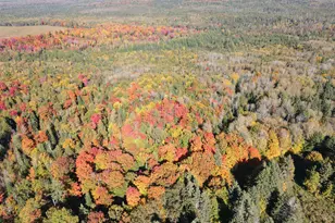 Lot 97A New Sweden Rd, New Sweden, ME 04762 - Photo 7