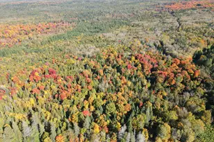 Lot 97A New Sweden Rd, New Sweden, ME 04762 - Photo 15