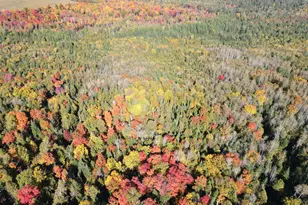 Lot 97A New Sweden Rd, New Sweden, ME 04762 - Photo 1