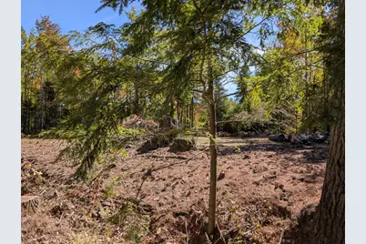 Mr11 Lot40 Yeaton Swamp Road, Oxford, ME 04270 - Photo 9