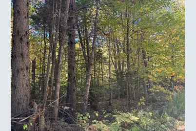 Lot 23/24 Coombs Road, Newry, ME 04261 - Photo 3