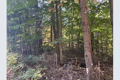 Lot 23/24 Coombs Road, Newry, ME 04261 - Photo 9