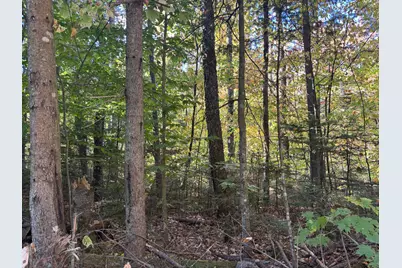 Lot 23/24 Coombs Road, Newry, ME 04261 - Photo 7