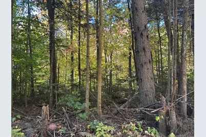 Lot 23/24 Coombs Road, Newry, ME 04261 - Photo 5