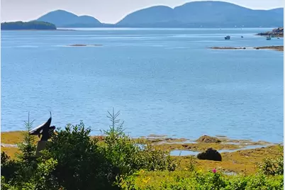 103 Gull Rock Road, Hancock, ME 04640 - Photo 1