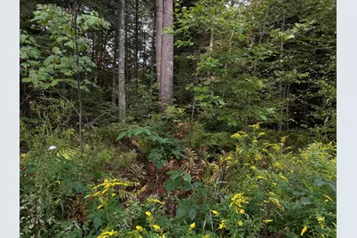 M4L14 Village Road, Jackson, ME 04921 - Photo 3