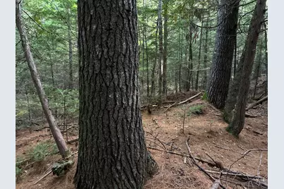 M4L14 Village Road, Jackson, ME 04921 - Photo 21