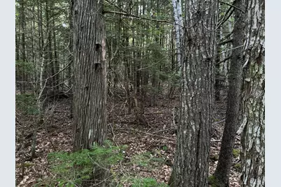 M4L14 Village Road, Jackson, ME 04921 - Photo 27