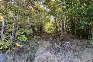 Map 201 Lot 101-4 Off Tremblay Rd, Dexter, ME 04930 - Photo 9