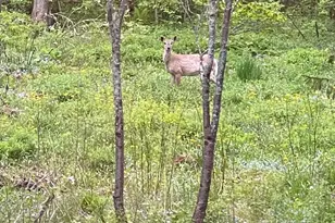 05 Chandler Ct, Houlton, ME 04730 - Photo 79