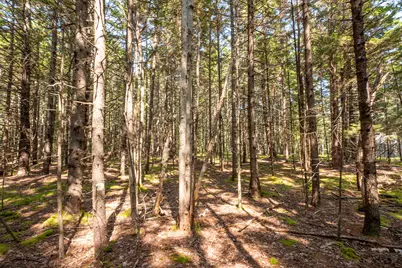 Lot 11 Nahanada Road, Bristol, ME 04539 - Photo 9