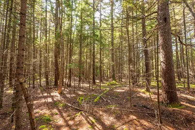 Lot 11 Nahanada Road, Bristol, ME 04539 - Photo 11