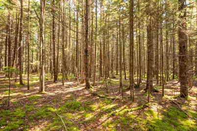 Lot 11 Nahanada Road, Bristol, ME 04539 - Photo 7