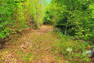 15 Jackson Hole, Carthage, ME 04224 - Photo 71