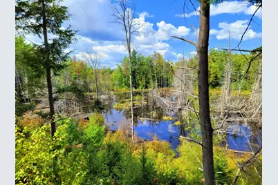 15 Jackson Hole, Carthage, ME 04224 - Photo 69