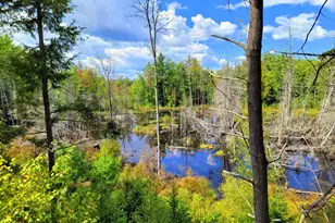 15 Jackson Hole, Carthage, ME 04224 - Photo 69