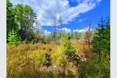 15 Jackson Hole, Carthage, ME 04224 - Photo 67