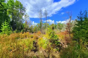 15 Jackson Hole, Carthage, ME 04224 - Photo 67