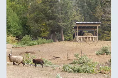 125 Corn Hill Road, Brownfield, ME 04010 - Photo 7