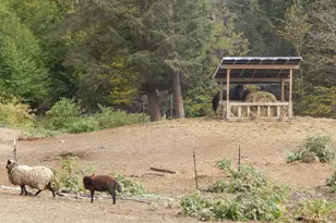 125 Corn Hl Rd, Brownfield, ME 04010 - Photo 7