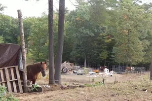 125 Corn Hl Rd, Brownfield, ME 04010 - Photo 33