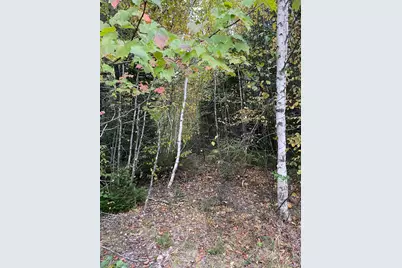 M1978L91G Airline Rd, Crawford, ME 04694 - Photo 7