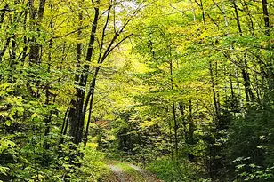 672 Meadow Ln, Rumford, ME 04276 - Photo 27