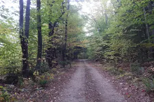 Lot#R13L50 Corn Hill Rd, Brownfield, ME 04010 - Photo 1