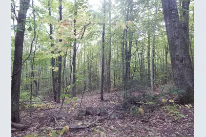 Lot#R13L50 Corn Hill Road, Brownfield, ME 04010 - Photo 3