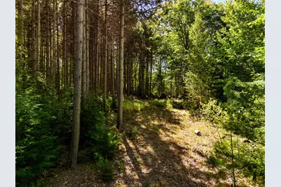 142D Tucker Brook Road, Lincolnville, ME 04849 - Photo 3