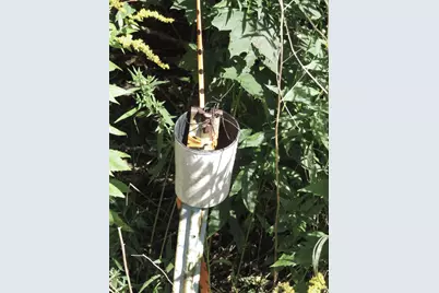 225 Waldo Avenue, Belfast, ME 04915 - Photo 13