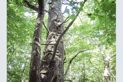 225 Waldo Avenue, Belfast, ME 04915 - Photo 5