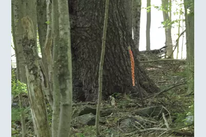 225 Waldo Avenue, Belfast, ME 04915 - Photo 11