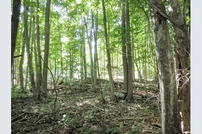 225 Waldo Avenue, Belfast, ME 04915 - Photo 3