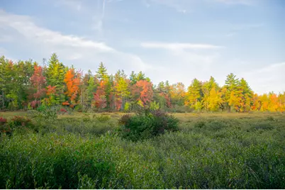 Tbd New Dam Road, Waterboro, ME 04061 - Photo 23