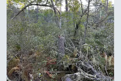 M6L43 Biscay Road, Bremen, ME 04551 - Photo 9