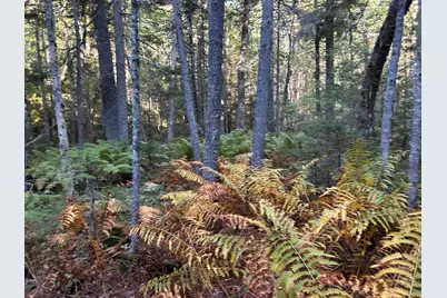 M6L43 Biscay Road, Bremen, ME 04551 - Photo 27