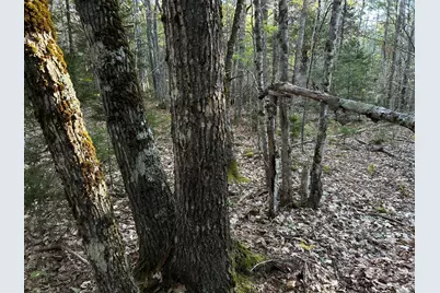 M6L43 Biscay Road, Bremen, ME 04551 - Photo 19